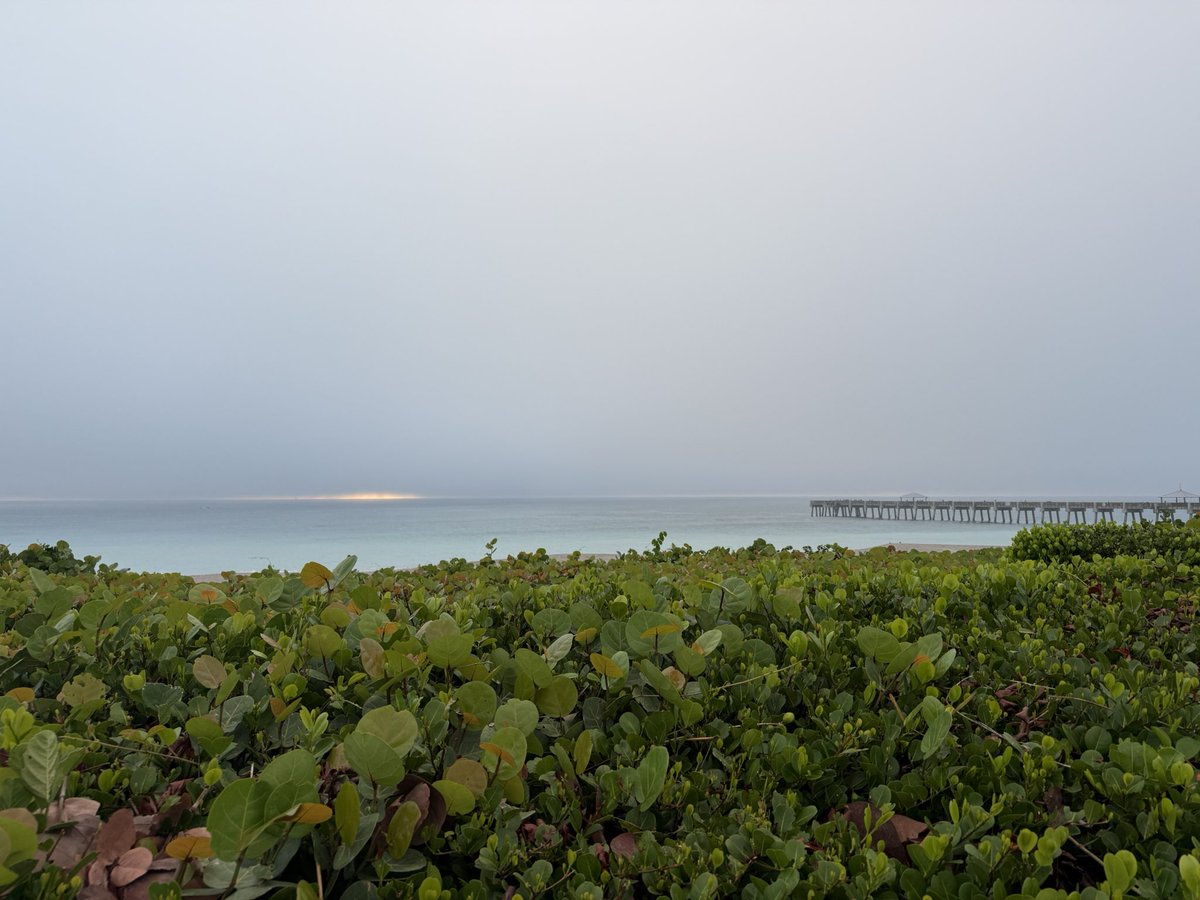 Matt Disney (@disney_lab) on Twitter photo 