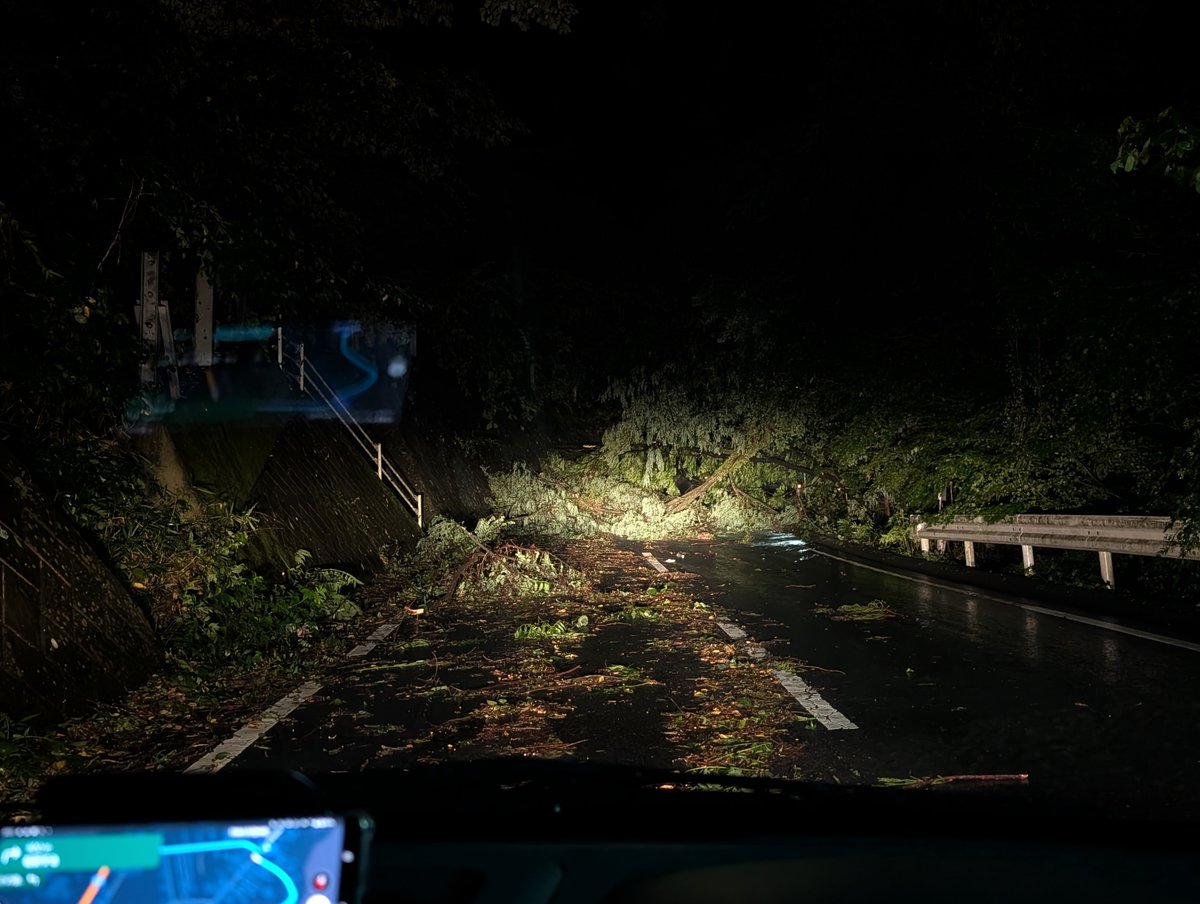 沼田周辺 あちこち倒木あってヤバいな
全然通れんぞ