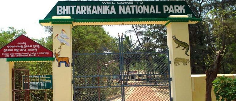 OrissaPOSTLive's tweet image. An 8-foot Indian rock python was rescued Tuesday by forest officials from a crop field in Ragadapatia village near Bhitarkanika National Park in Odisha’s Kendrapara district, said ACF Manas Das.
#Bhitarkanika #WildlifeRescue #IndianRockPython #Odisha #Kendrapara