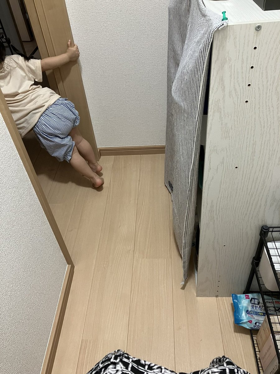 今日も今日とて…
#お願いだから閉めて
#後追い 
#ノープライバシーノーライフ