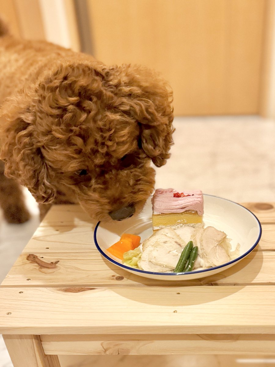 youtu.be/FEeBjTyKIDQ?si…

ルーク定位置に付きましたので

お休みなさい🌙🥃♪