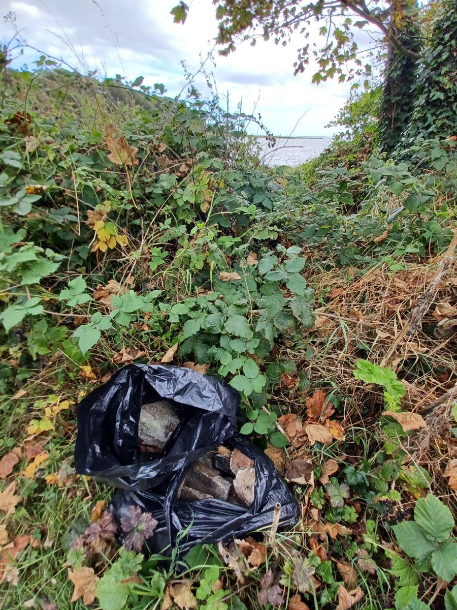 NT Strangford Lough tweet media