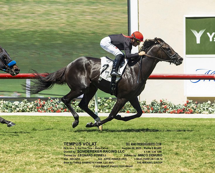 Tempus Volat breaks his maiden in style under <a href="/MircoDemuro1/">Mirco Demuroミルコ デムーロ</a> <a href="/DelMarRacing/">Del Mar Racetrack</a> . This son of <a href="/TMStallions/">Taylor Made Stallions</a> Not This Time was purchased <a href="/FasigTiptonCo/">Fasig-Tipton</a> Digital . Congrats to Sondereker Racing and Thanks all involved !