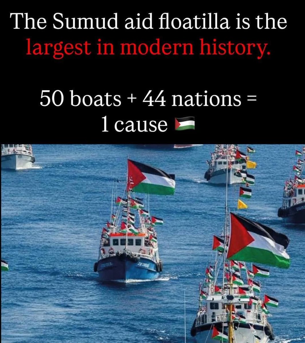 🚨$0 in 3 days🚨ALERT🚨

#LifelineToGaza #DonateBoost       
Volunteer with me at Viva 🍉t.ly/72UHv

My brother Muhannad and his family need your help: chuffed.org/project/128475…

Boosting: 
#HumanityForPalestine