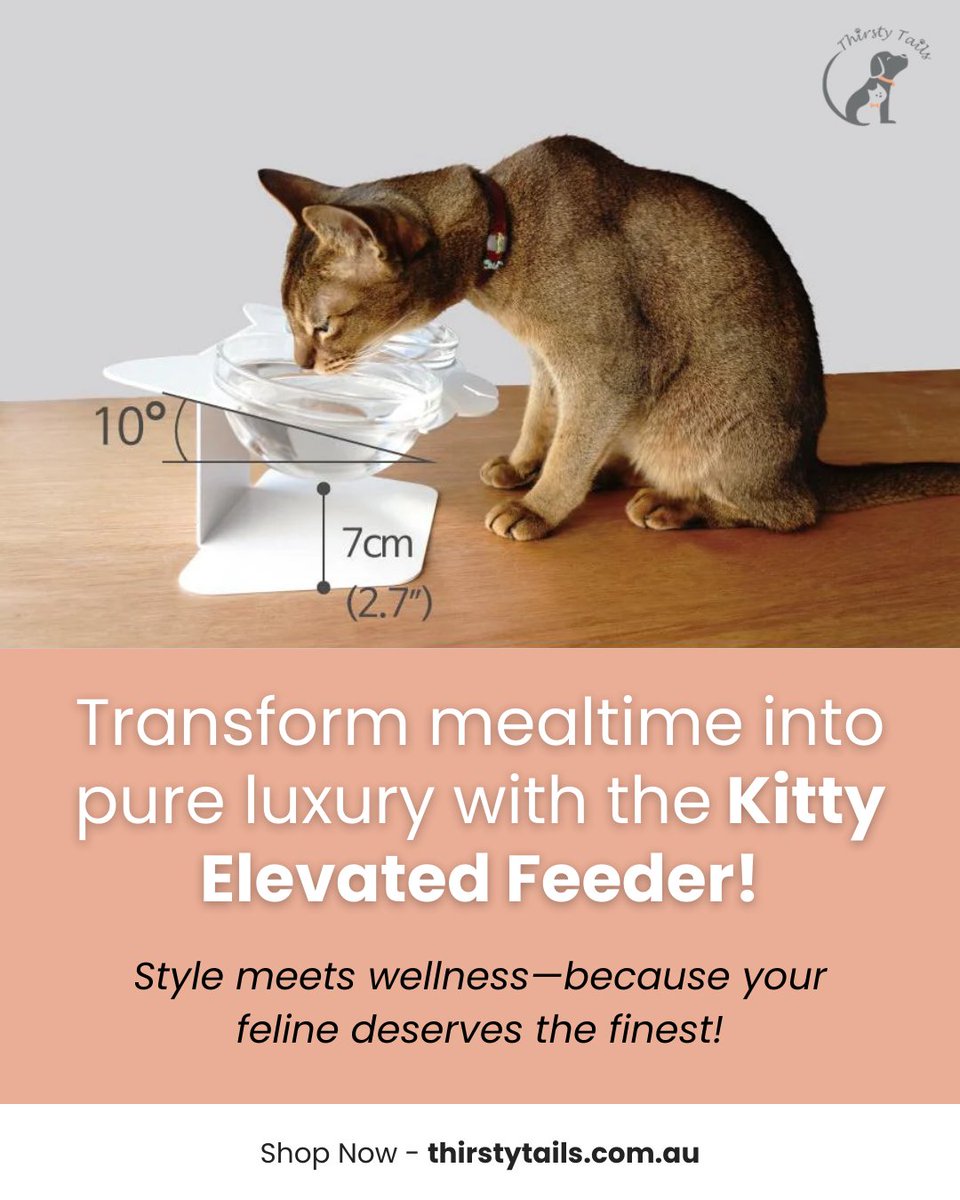 🐱💛 Elevate your cat’s dining experience with the Kitty Elevated Feeder—where health meets elegance. 🍽️ 🐾✨ 🌸
.
Shop now - thirstytails.com.au

#Australian #Pets #Cat