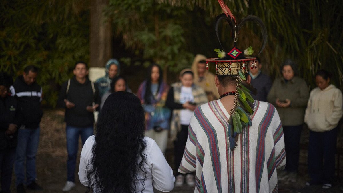 Amerindia_Cont's tweet image. #REPAM Direitos dos povos indígenas e tribais à autodeterminação, autoidentificação e autonomia | amerindiaenlared.org/contenido/2706…