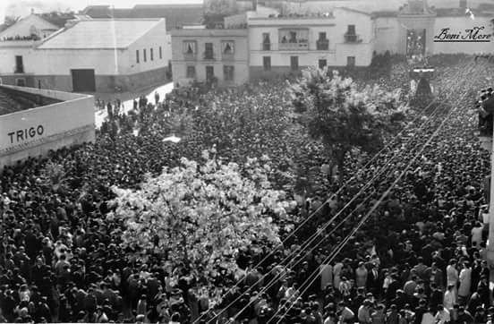SalvadorDelosReyes (@sdelosreyesr) on Twitter photo Impresionante recogida de la Esperanza de la Yedra años ha en Madre de Dios. Impresionante recogida de la Esperanza de la Yedra años ha en Madre de Dios.
