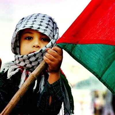 M@ry D'Cuba🇨🇺 (@mryrodrguez4) on Twitter photo ¿También apoyas a Palestina? ¿También apoyas a Palestina?