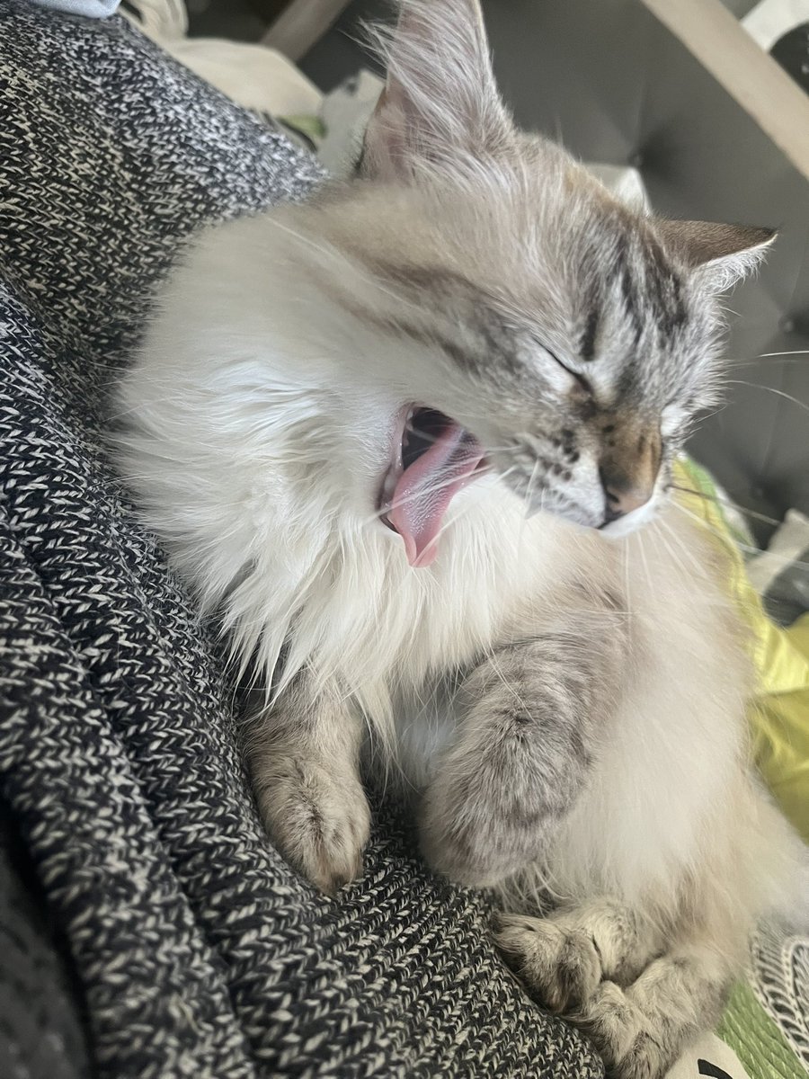 mathouxss's tweet image. 