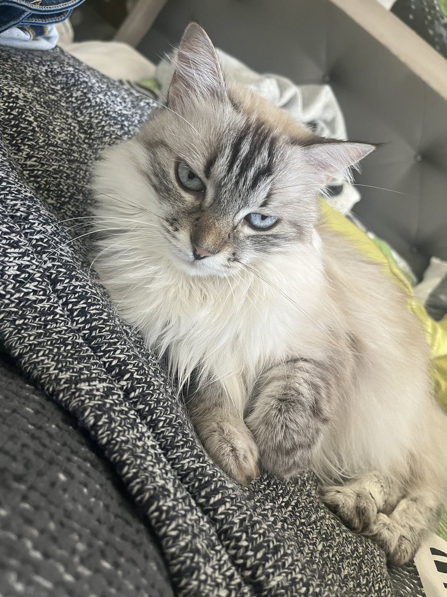 mathouxss's tweet image. 