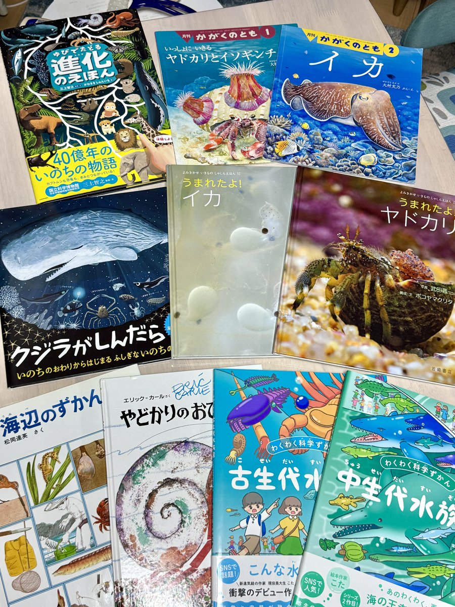 大人でも絵本から入るのがちょうどいいことがある、というか最近やさしい専門書みたいなクオリティの絵本が多すぎません？(たすかる)