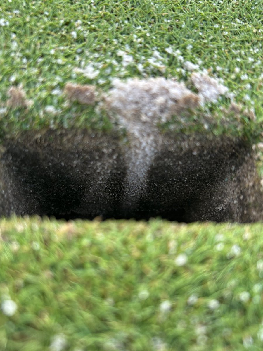 Tanasi Golf tweet media