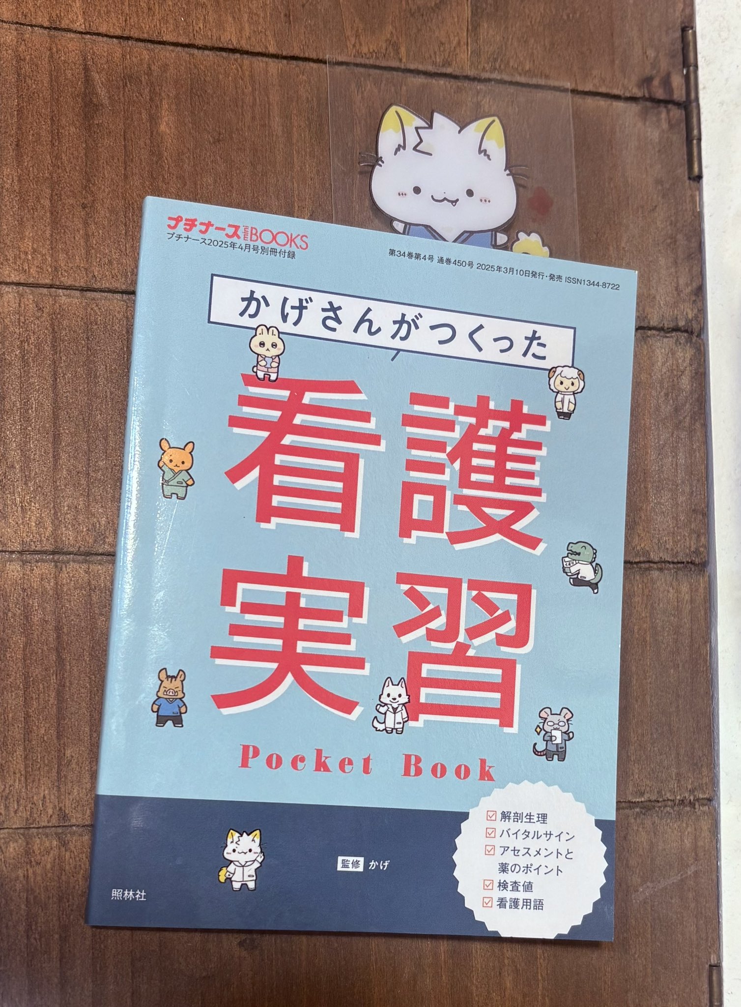 プチナース３年分（2019年4月号〜2022年3月号まで） プチナース一覧 看護過程 | プチナースWEB