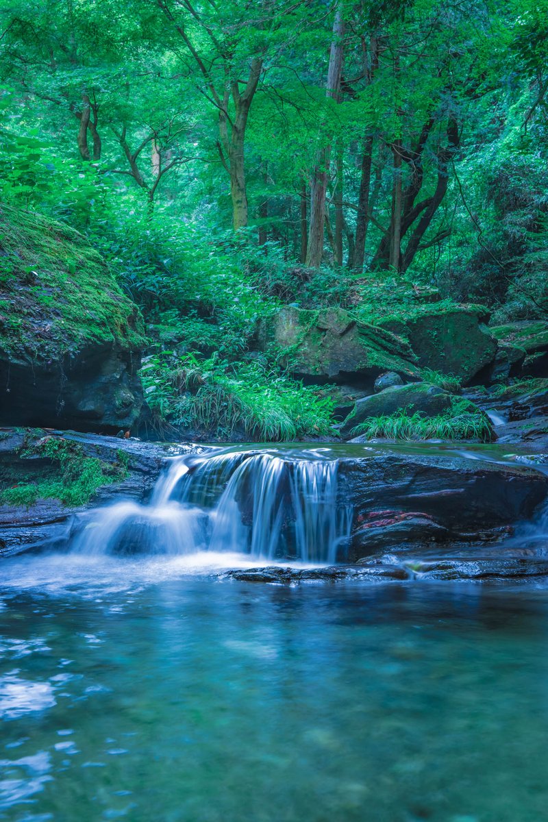 埼玉の清流に癒される