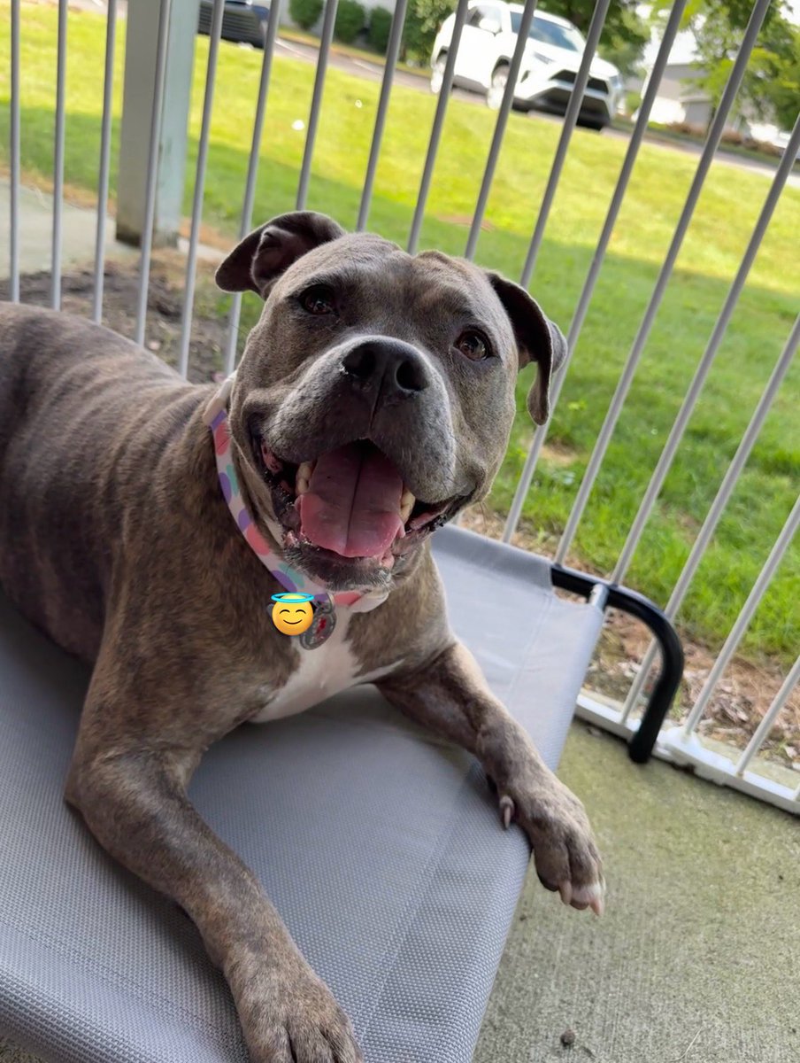 molly jean ( goodest gorl 🍉) tweet media