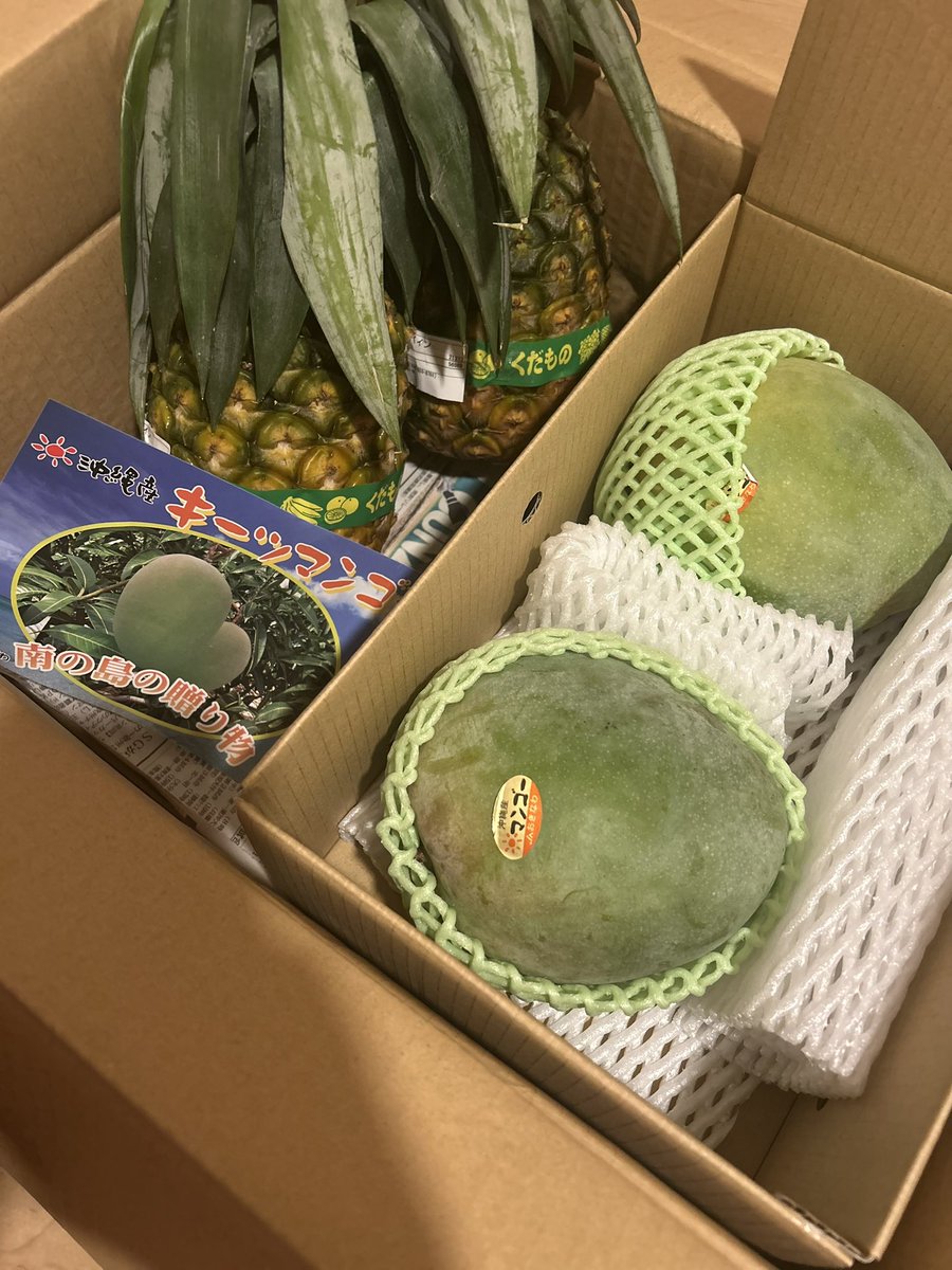 パイナップル - Search / X