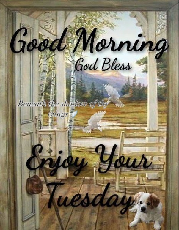 tom myracle (@myracletom) on Twitter photo 