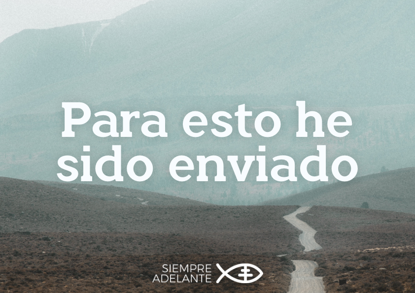 #EvangelioDelDía|   Lc 4, 38-44. Es necesario que evangelice también a las otras ciudades, pues para esto he sido enviado. 
archisevillasiempreadelante.org/palabraviva-03…

#PalabraViva #SiempreAdelante