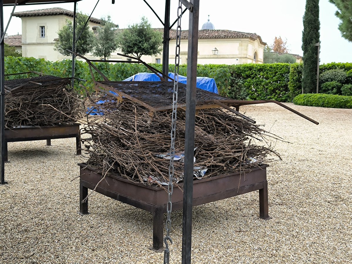 #Vendanges #Bordeaux
La question du moment : quand faut-il vendanger ?
Un truc simple et efficace : tu regardes quand à #Petrus ils sortent le barbecue pour le repas des vendangeurs. Tu connais ton décalage de maturité alors tu comptes les jours et tu sais quand faut y aller  😁