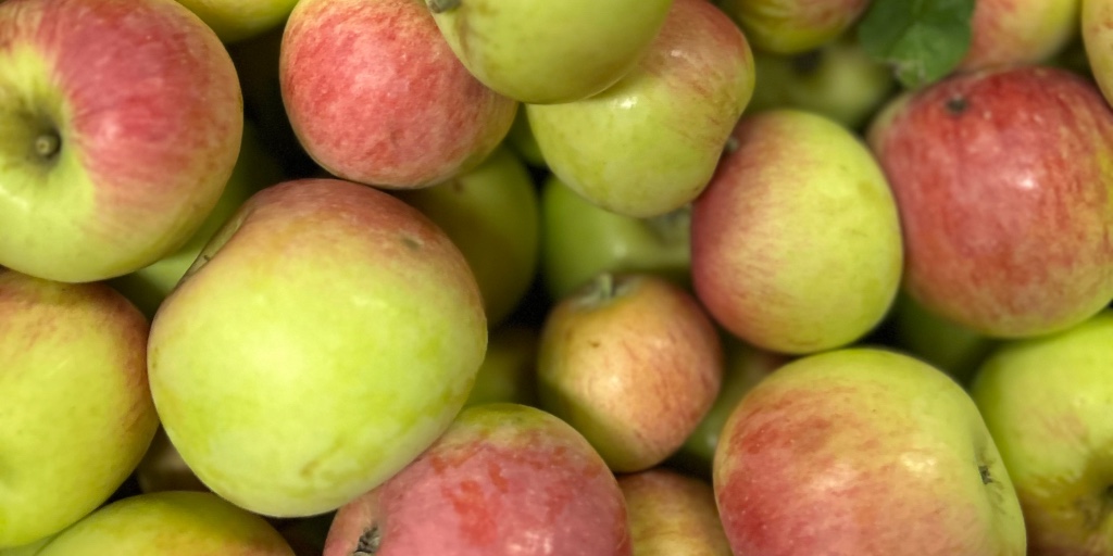 🍎💛 A big thank you to Tom for the generous gift of apples! Your kindness helps us share fresh, healthy food with our community guests, and we’re so grateful for your generosity.
lighthousemission.ca
#LighthouseMission #EveryoneMatters #LoveAllServeAll