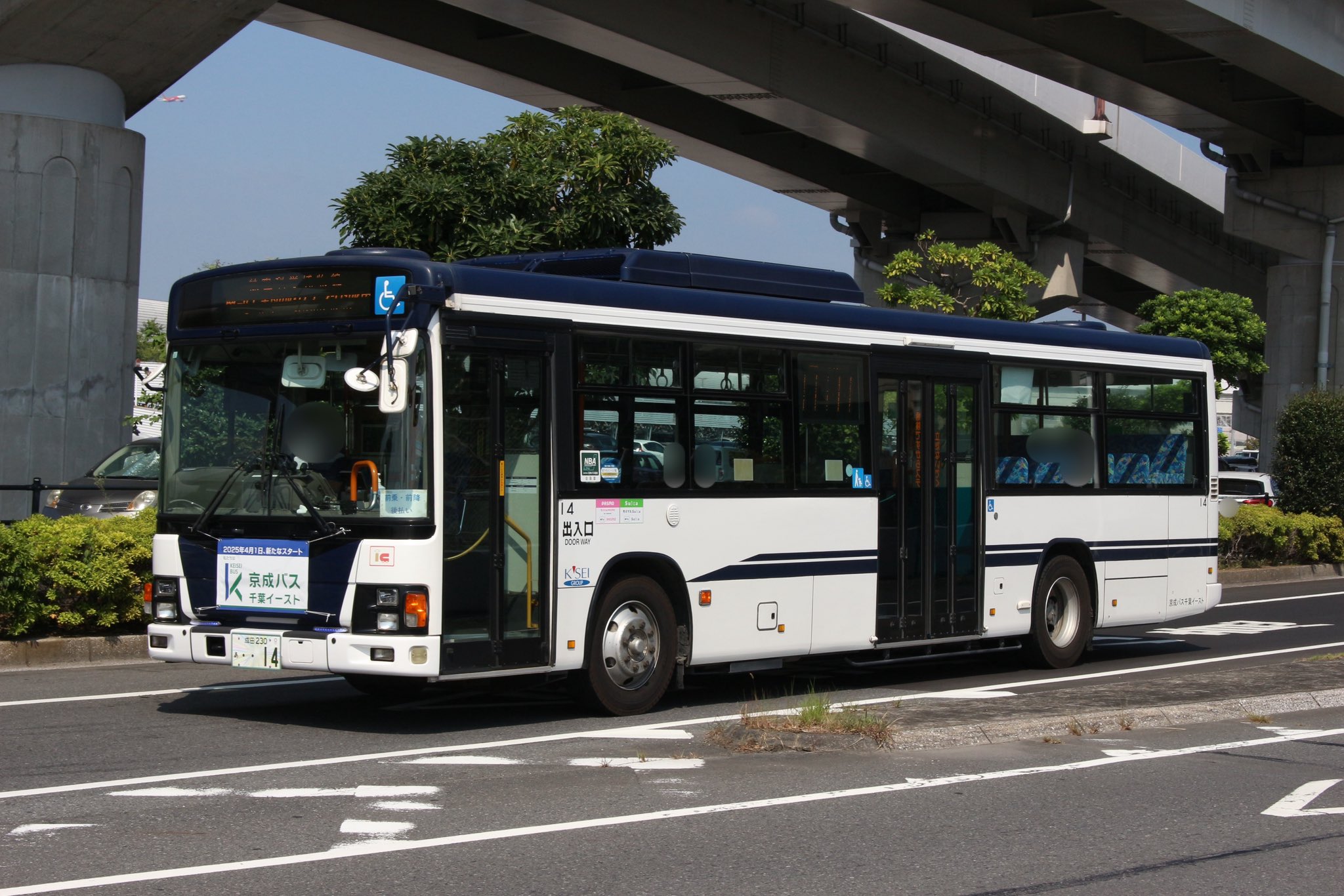 Bバスパーキングページ Amazon.com: TCMT Rear Passenger Footpegs Footrest Fit For