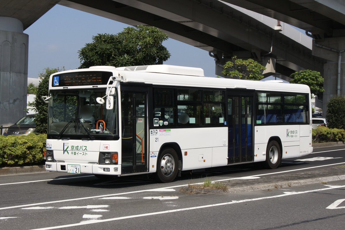 ハスベイ 東京ベイシティ交通