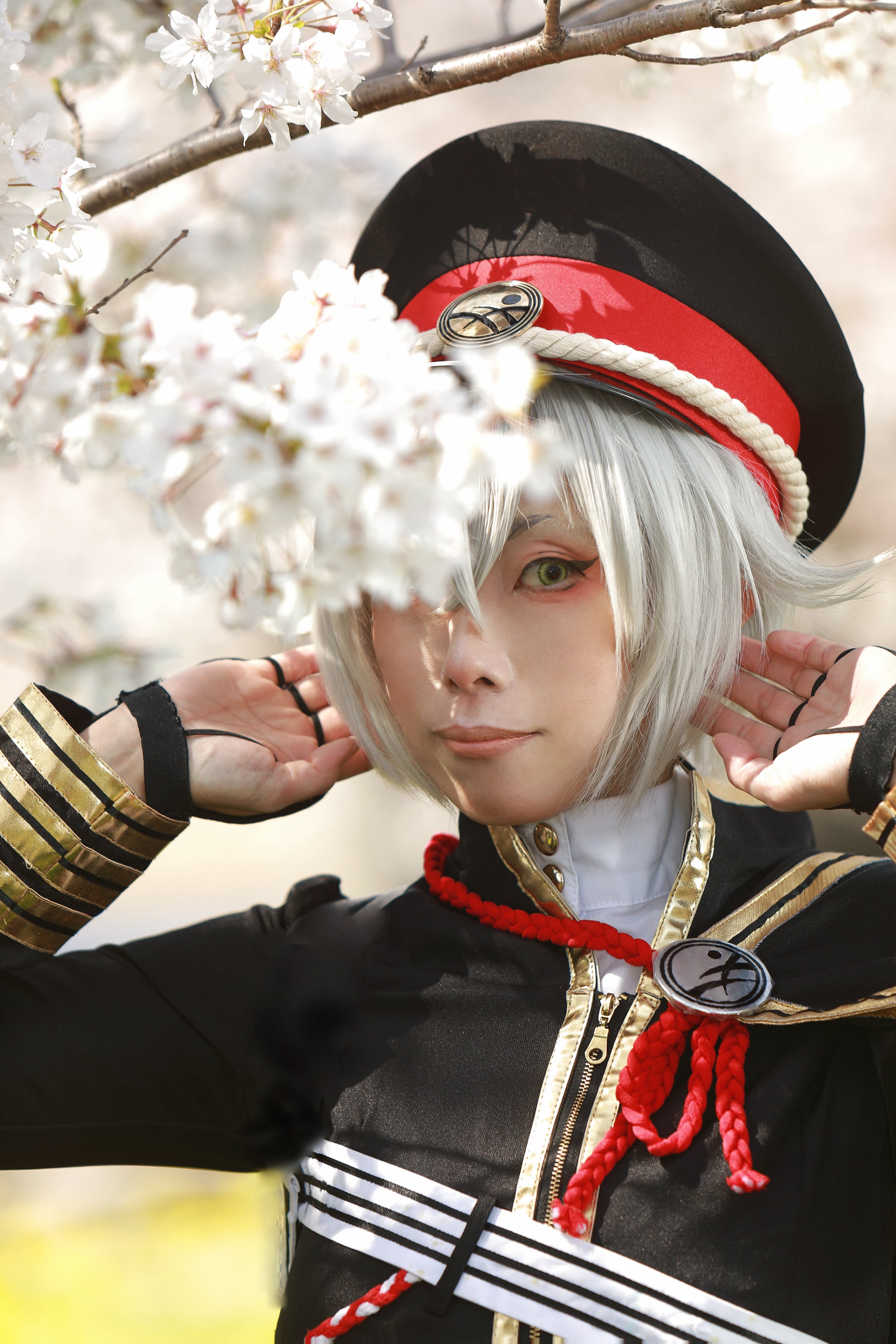 straystar📸 (@straysstar1) / X