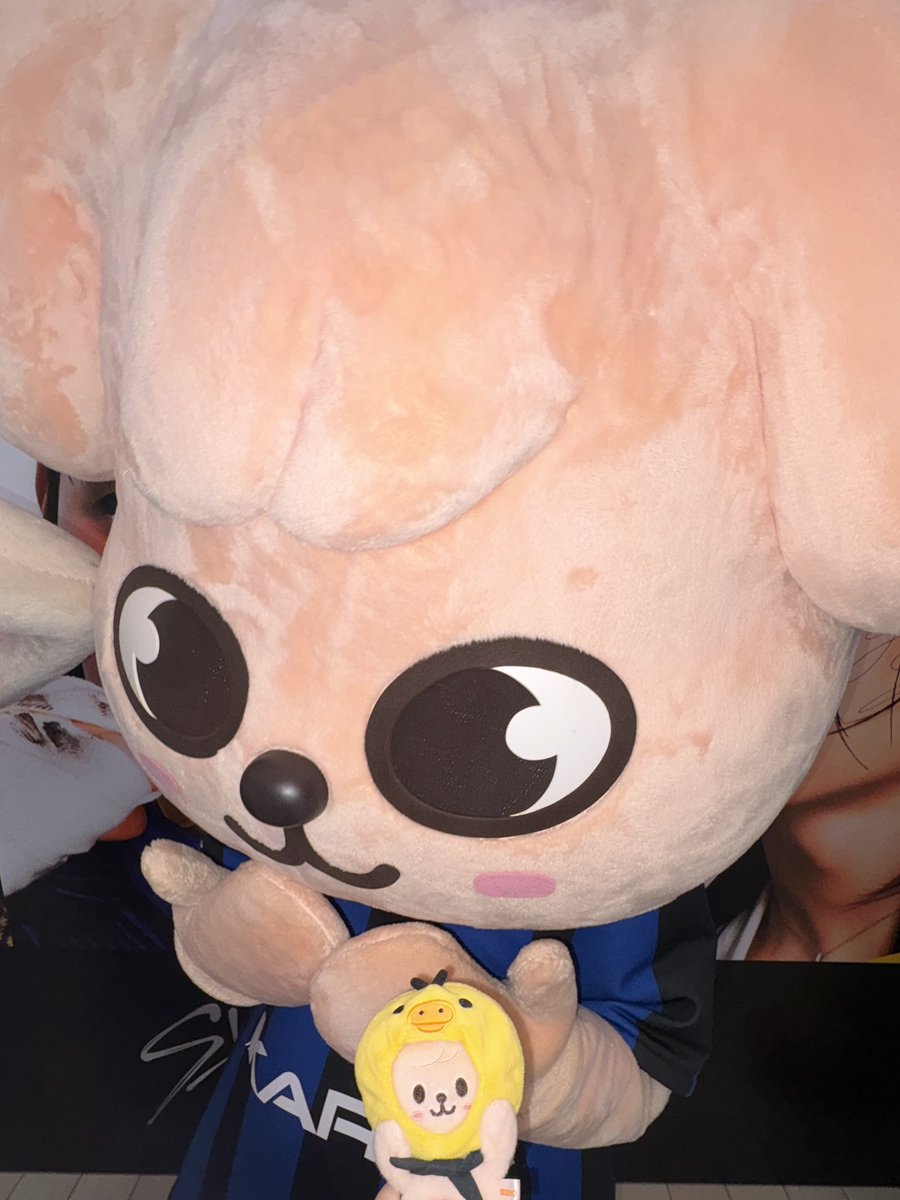 아니오늘퍼핌진짜가까이서봑는데  머리가진짜큼