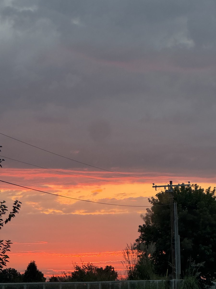 SheSaysBadWords (@shesaysbadwords) on Twitter photo 