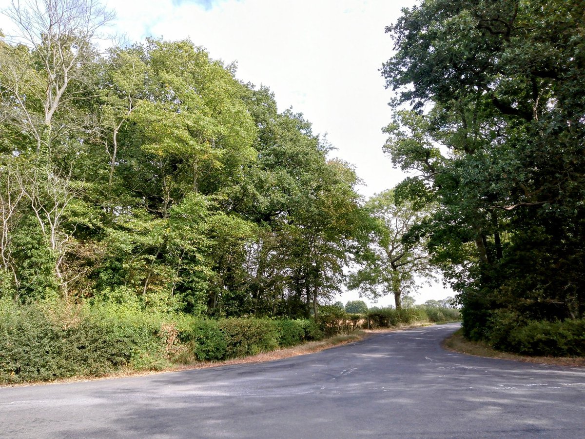 The road to #Loddington by #FaxtonCorner, #Northamptonshire,#England.#PhilOnaBike #WoodlandWednesday #BywayFriday