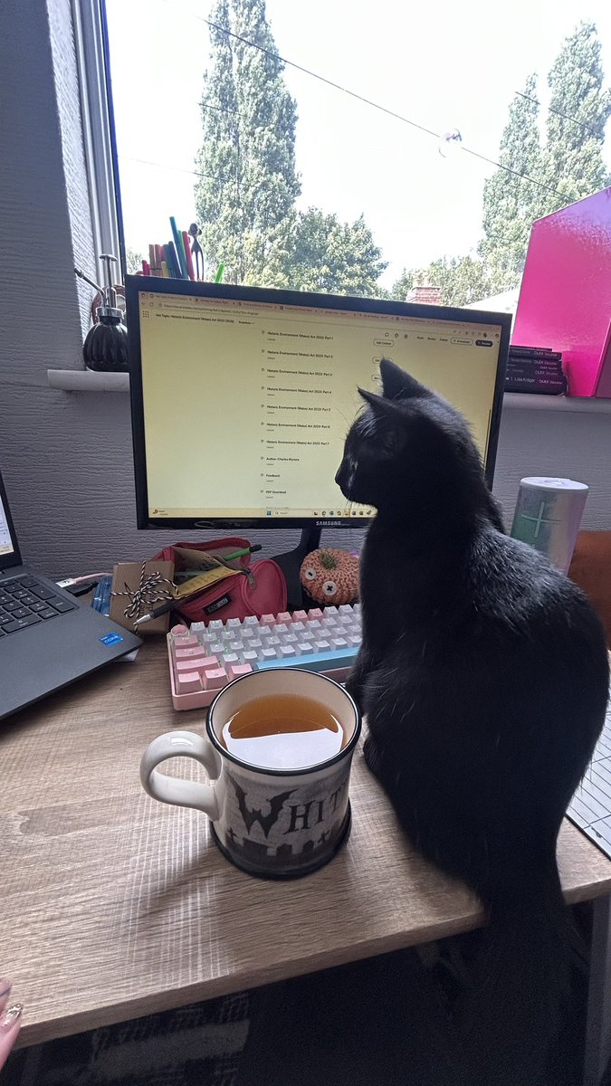 CharlieStear's tweet photo. Back on here to brag about the absolute babe that is my cat, look at her! https://t.co/VqeGE9D0ju