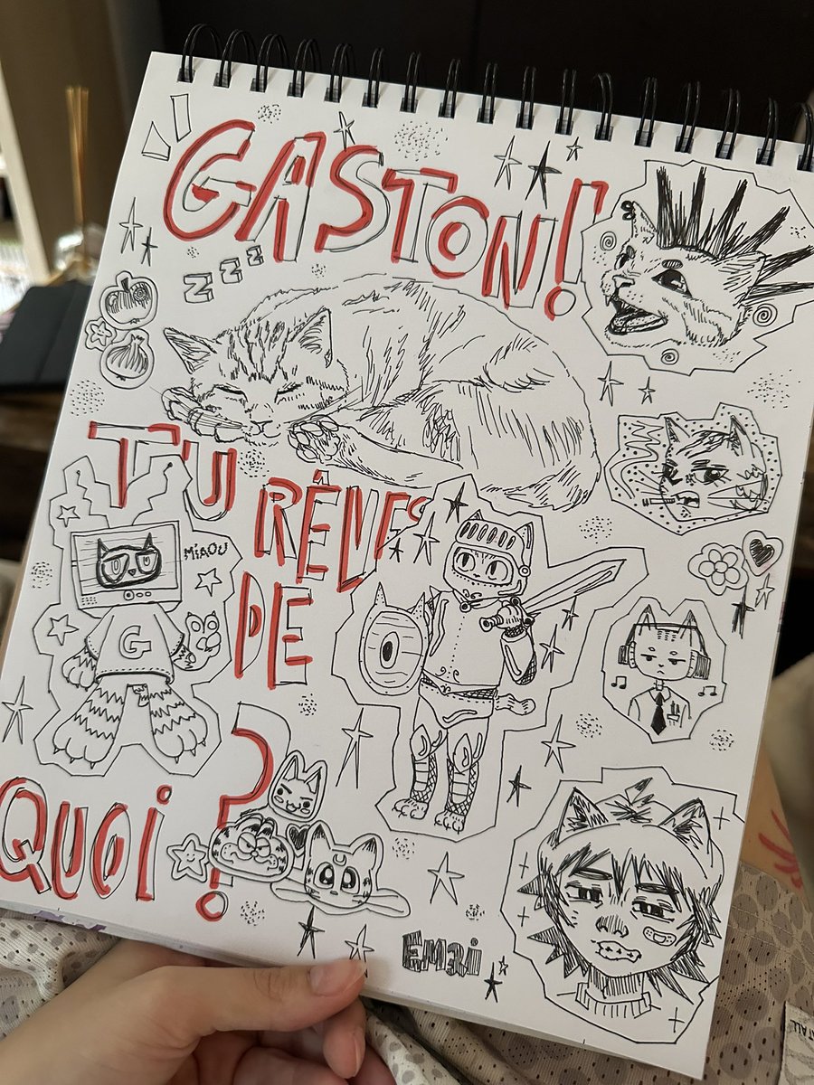 gribouillage de moi qui me demande de quoi rêve mon chat gaston