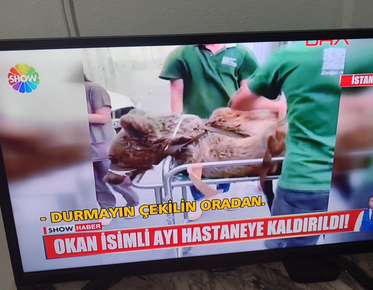 6 bira gömdüğüm gecenin sabahı: