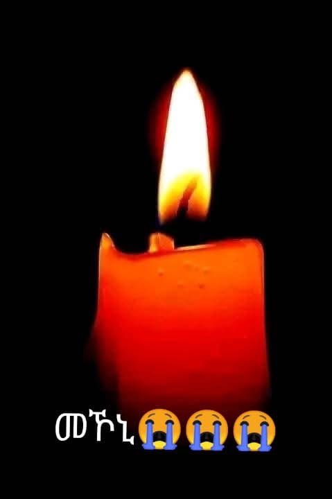 Masharada Raya tweet media
