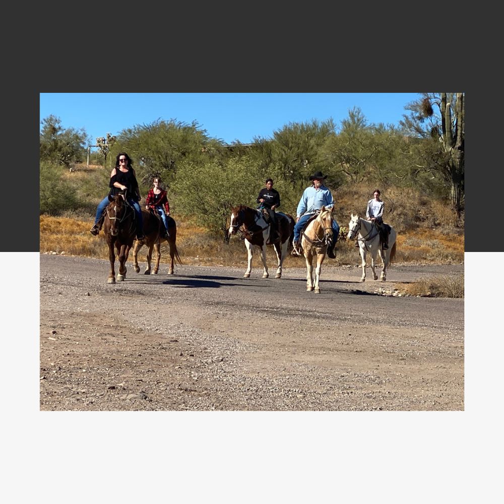 CircleMRidingS's tweet photo. There’s no better feeling than learning to ride with confidence. Our horse lessons combine fun with safety so riders of all ages can grow their skills. Join us and start your journey! #HorseLessons
https://t.co/Qc8bmDxfG3 https://t.co/wNEYiyTsbP
