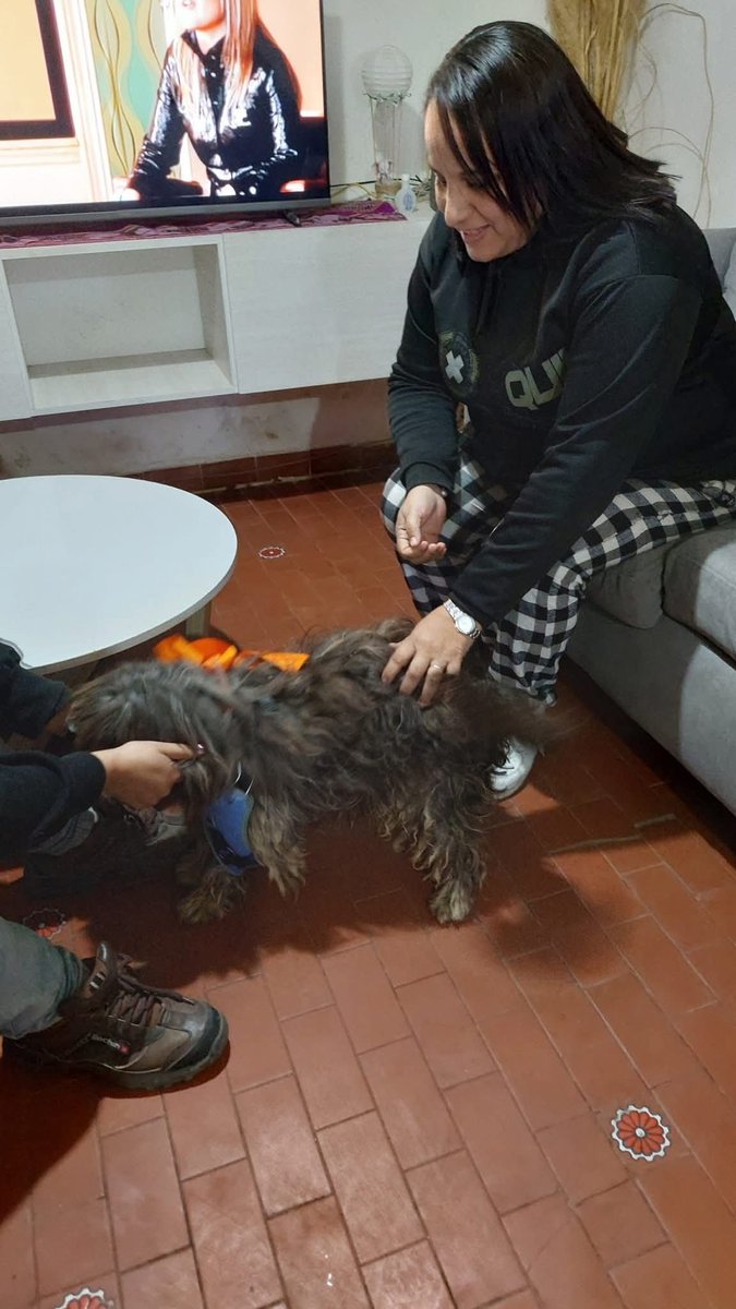El Campito Refugio (@elcampito) on Twitter photo Las familias que adoptan son todo lo que está bien y esta vez estamos muy contentos de contarles que ¡¡nuestro pequeñito Humo encontró la suya!
¡¡HUMO ADOPTADOOO!!🎉 🥳
Para adoptar escribinos a adoptantesdelcampito@gmail.com
O también podes ingresar a 👉🏻 adoptauncamperito.com.ar Las familias que adoptan son todo lo que está bien y esta vez estamos muy contentos de contarles que ¡¡nuestro pequeñito Humo encontró la suya!
¡¡HUMO ADOPTADOOO!!🎉 🥳
Para adoptar escribinos a adoptantesdelcampito@gmail.com
O también podes ingresar a 👉🏻 adoptauncamperito.com.ar