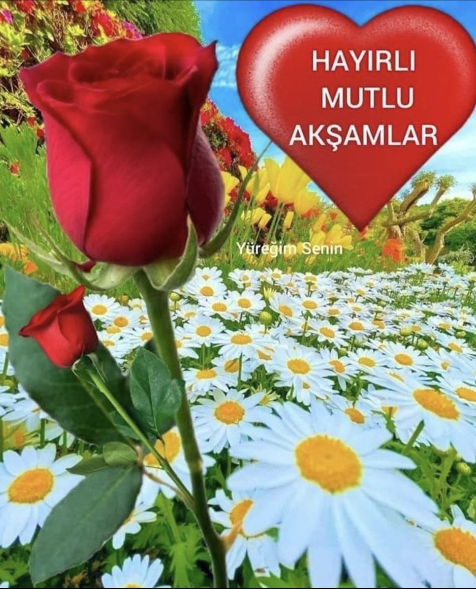 🍀 SELAMÜN ALEYKÜM 🍀

💫 HUZURLU AKŞAMLAR 💫

Gün bitse bile gök yüzünde"
Günler daha mühürlenmedi"
Çünkü dilde söz, çiçekte renk"
Ve zamanda gelecek bitmedi"

ALLAHA EMANET OLUN 🍀