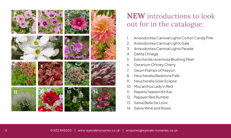 WyevaleNurs's tweet photo. Do you have a copy of our NEW 2026 Retailers’ Catalogue yet? It includes 12 NEW PROMOTIONS. If you’d like us to send you one by email/post call 01432 845200 or enquiries@wyevale-nurseries.co.uk. Download here: https://t.co/anpQjv4keJ #gardencentre #gardencentres #retailoutlets https://t.co/AQWTX3QBIK