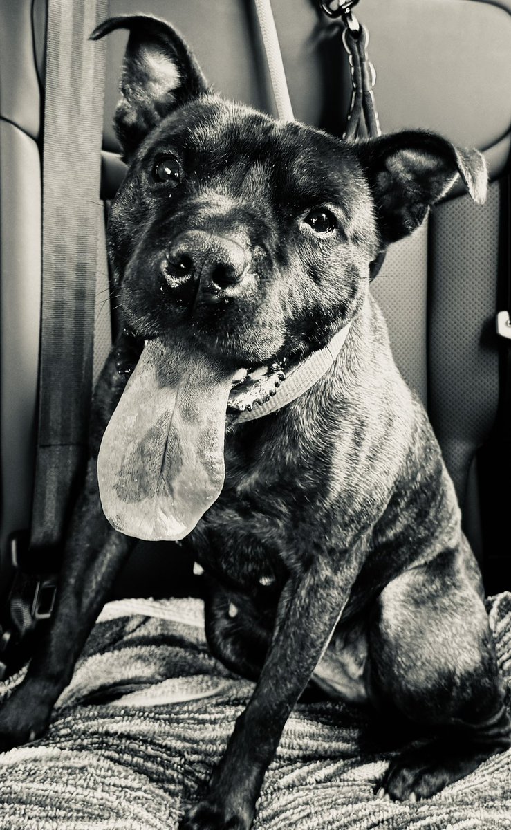 🌟 A New Beginning – Thanks to You 🌟
Today at 11am, one of our clients walked through the gates of residential rehab a step that, just weeks ago, felt impossible. 

It’s hard to put into words how overwhelming this moment has been. I have never seen someone so determined to turn