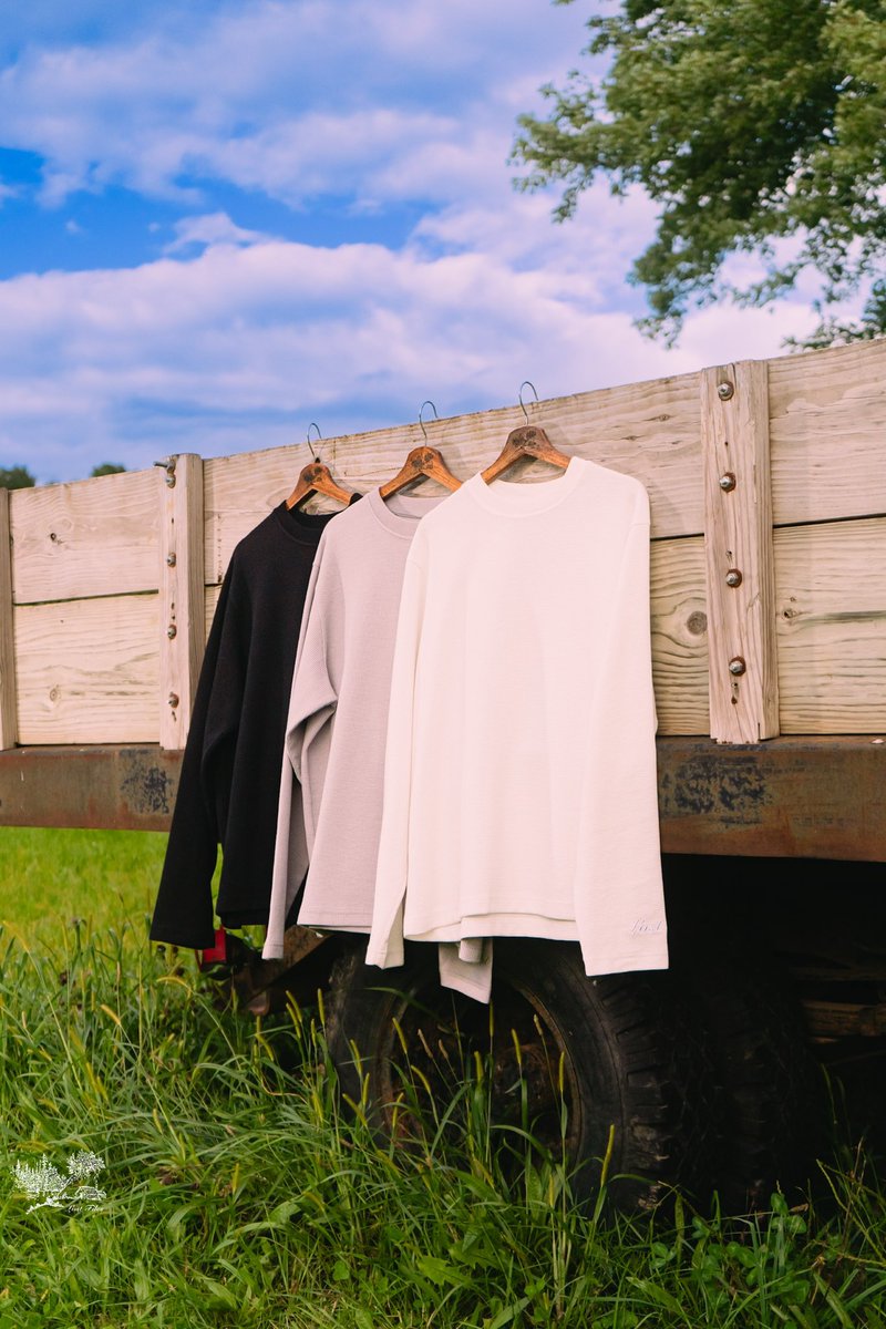 Lost Files tweet media