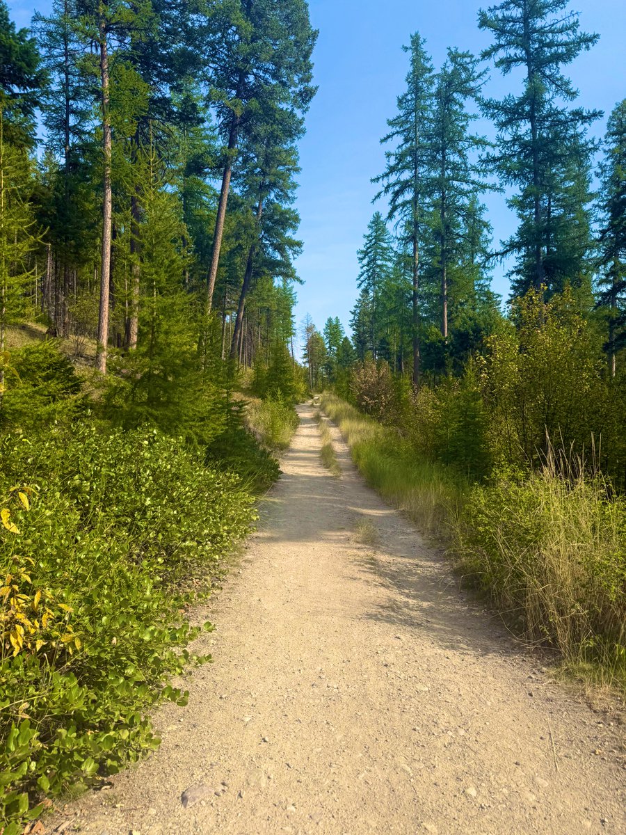 You all have school brain, not only is September still summer, it’s the nicest weather of the whole year