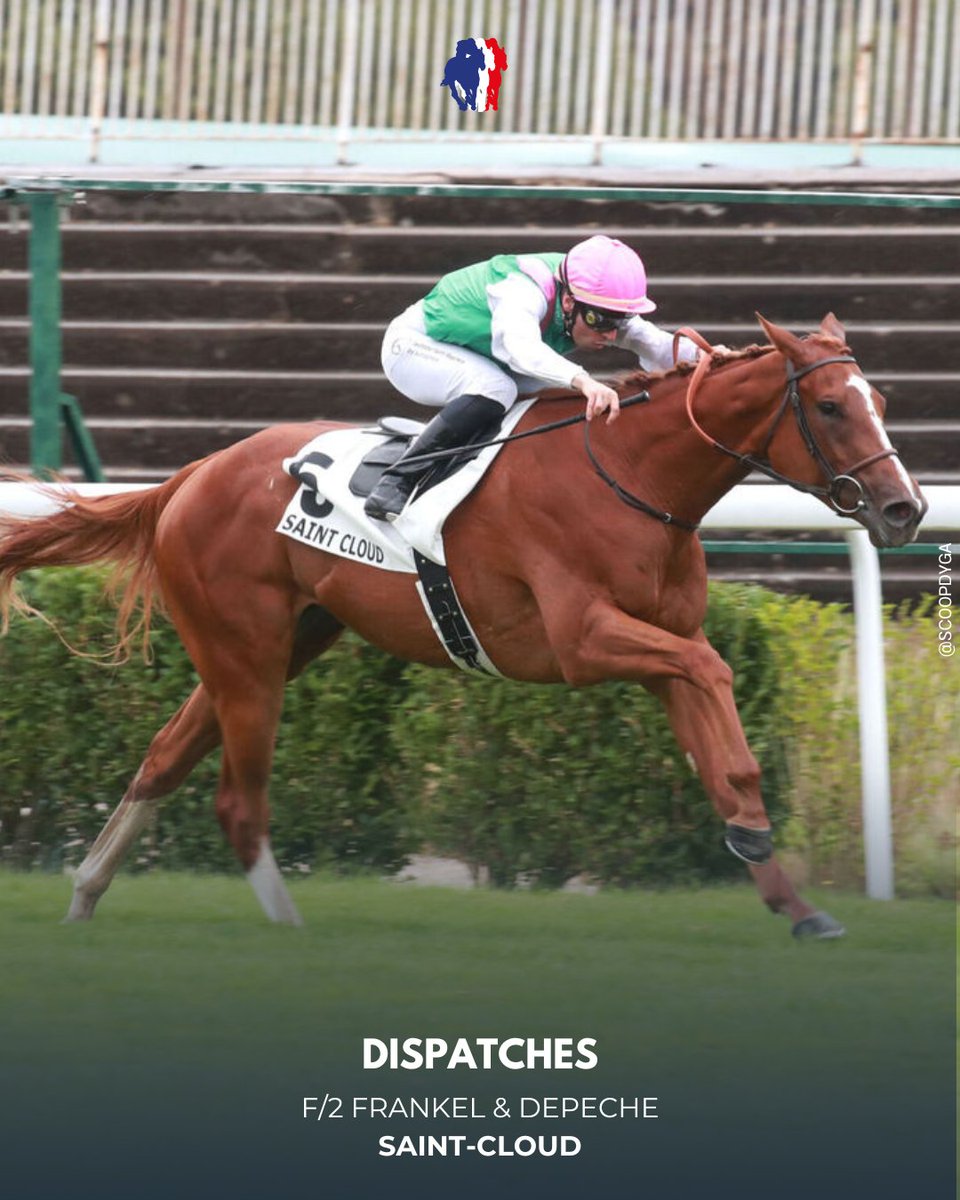 🏆 PRIX RAVINELLA (Maiden), SAINT-CLOUD
Dispatches (RS) (Frankel <a href="/JuddmonteFarms/">Juddmonte</a>) prend sa revanche après les Marettes ! La pouliche Juddmonte s’impose avec assurance et décroche son label JDG Rising Star.
#JourdeGalop