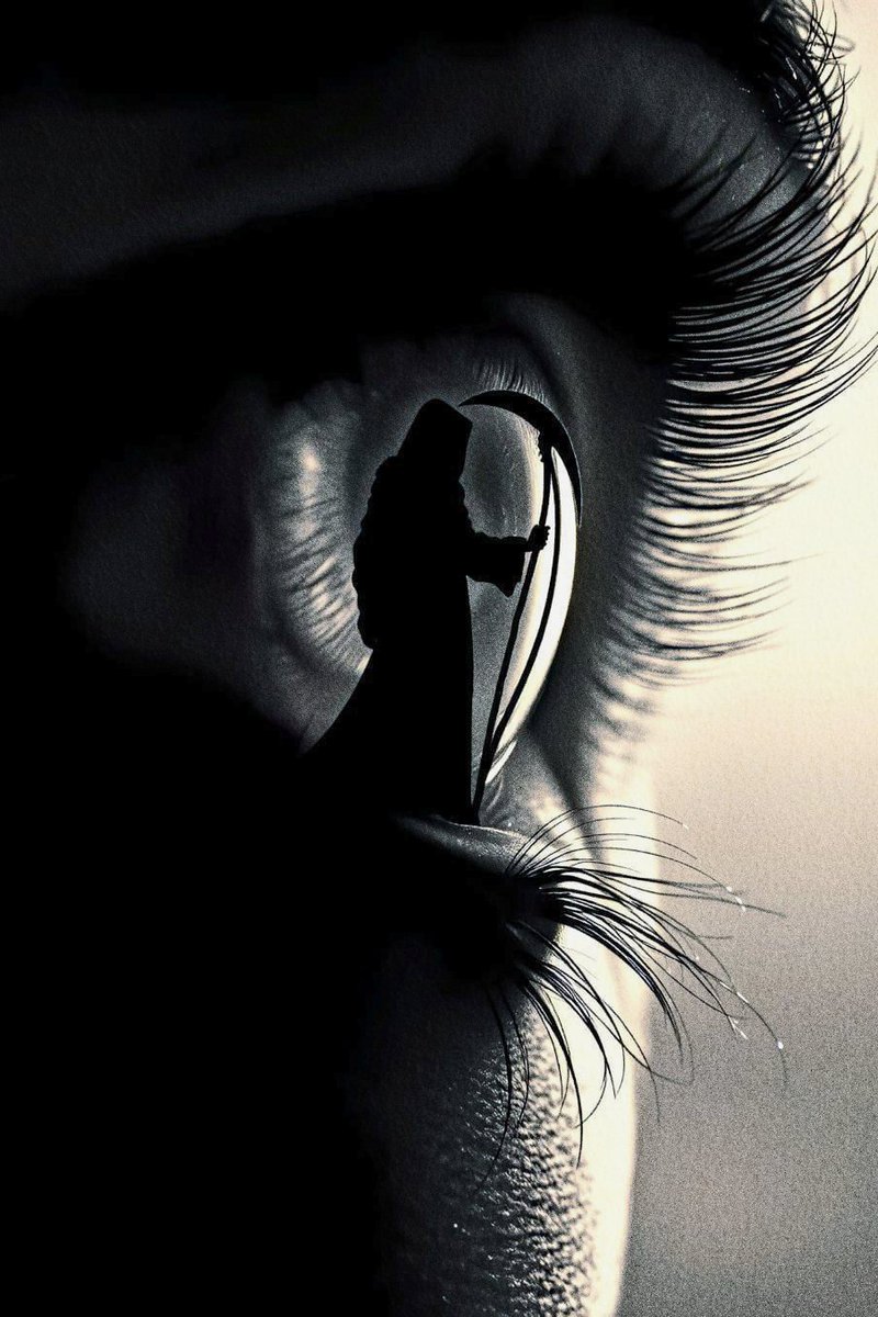 Hlk-Gzl (@zerglnft1453) on Twitter photo 