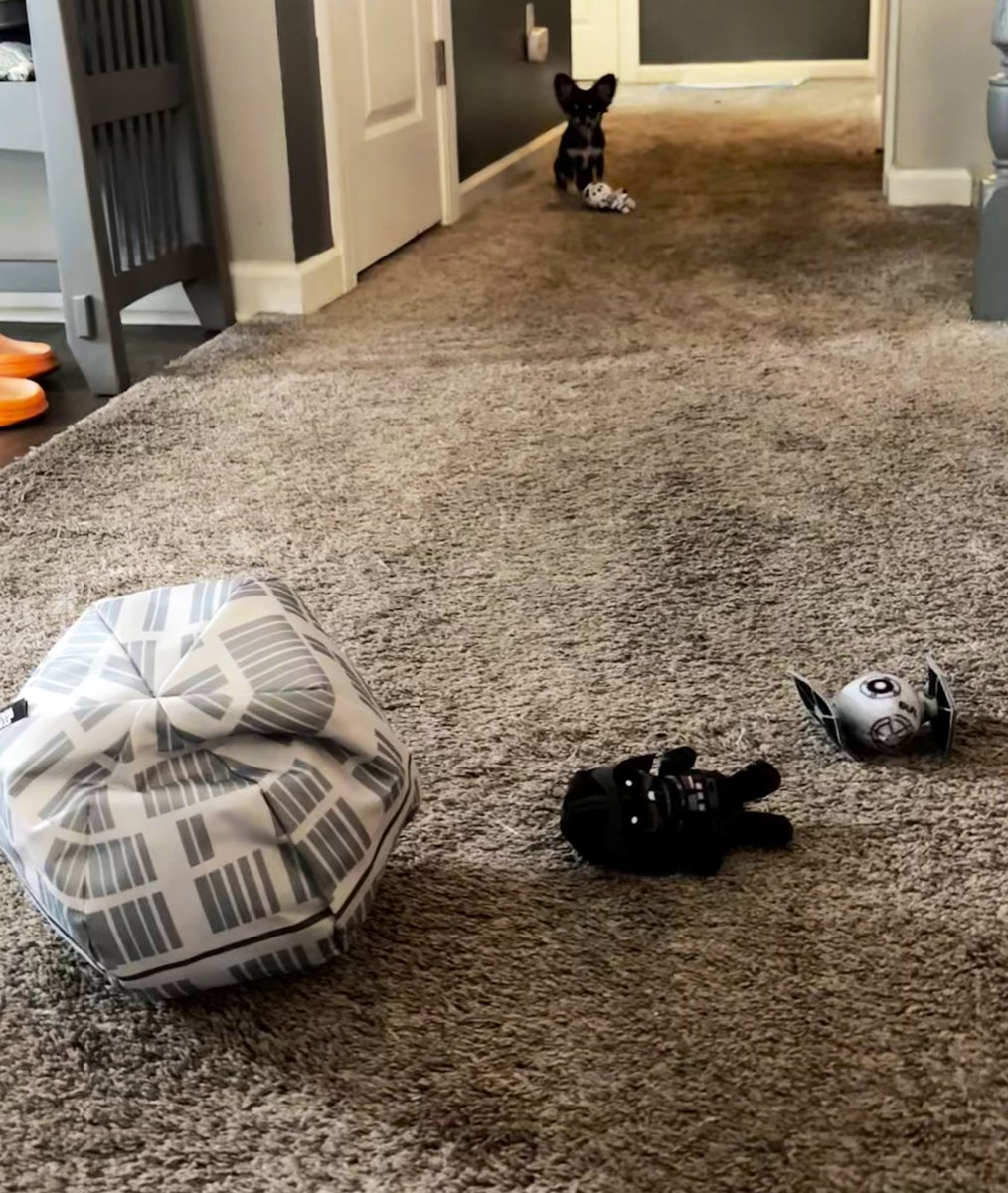 Fk the empire! 
😂