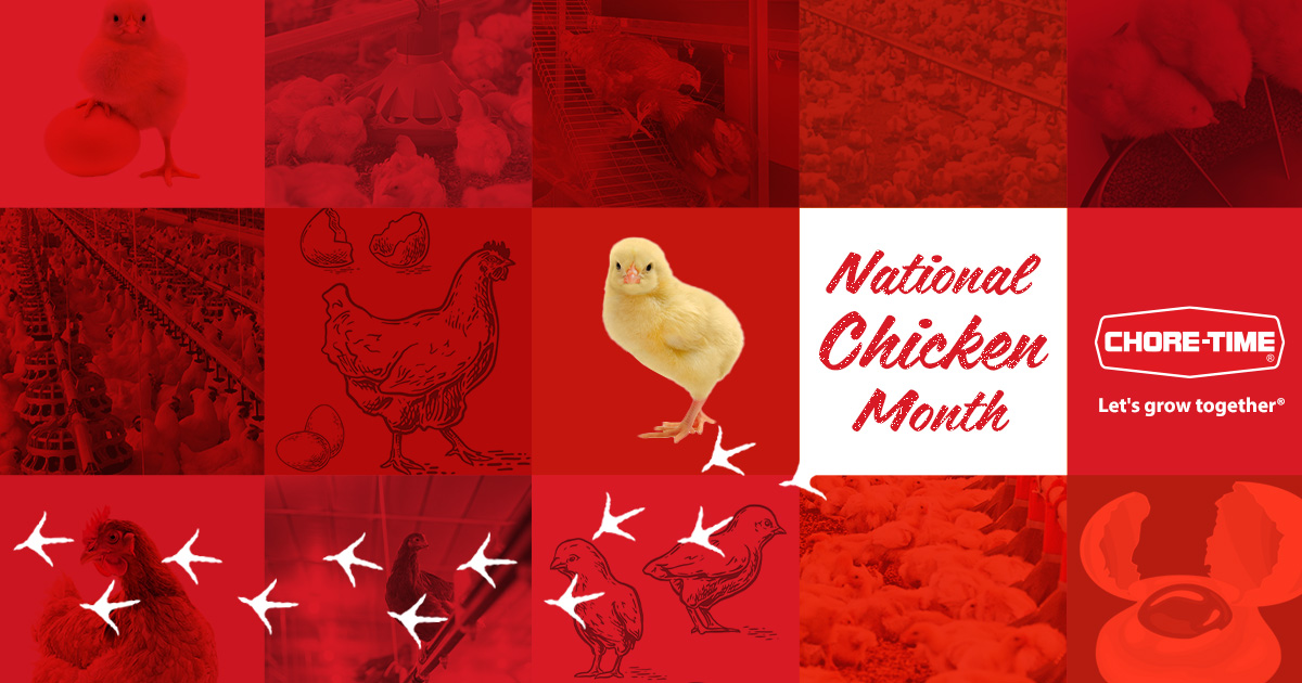 🐔🥚 We’re egg-cited to celebrate National Chicken Month! 🐣

This September, we’re not just winging it...We’re clucking our thanks to all the hardworking poultry farmers who keep the industry moving forward.