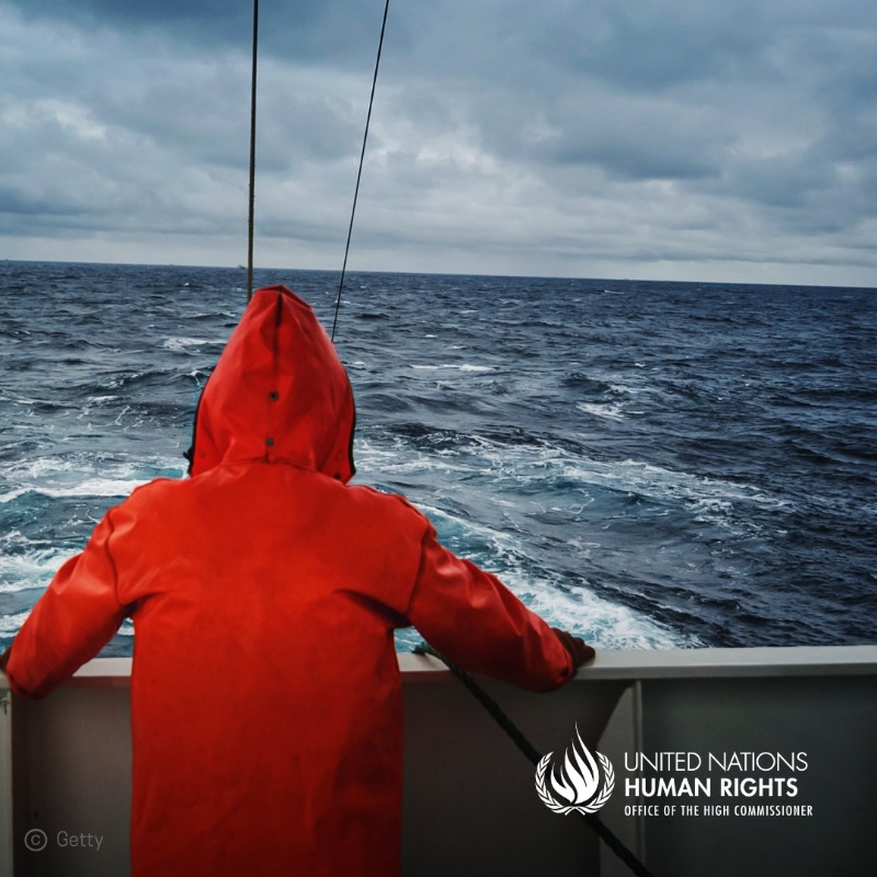 volker_turk's tweet photo. The world depends on #seafarers to transport goods &amp; keep trade running. But their working conditions are appalling &amp; many spend months stranded at sea.

I told the International Conference on Seafarers’ Human Rights that we stand with them in their fight for fair treatment ⬇️