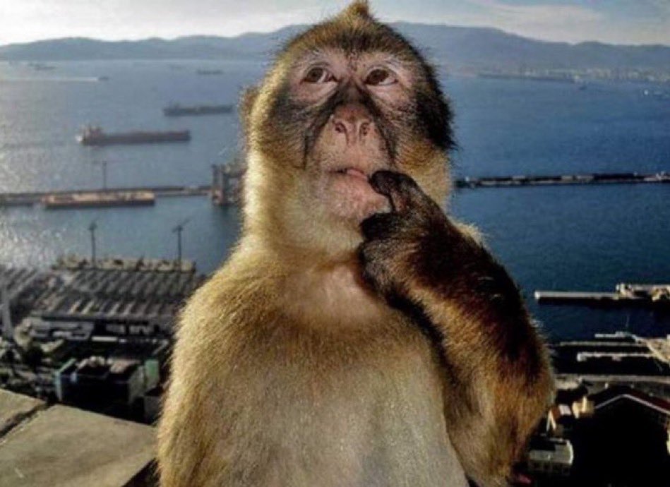 estaba boludeando en clase y cuando el profe m preguntó algo dije presente