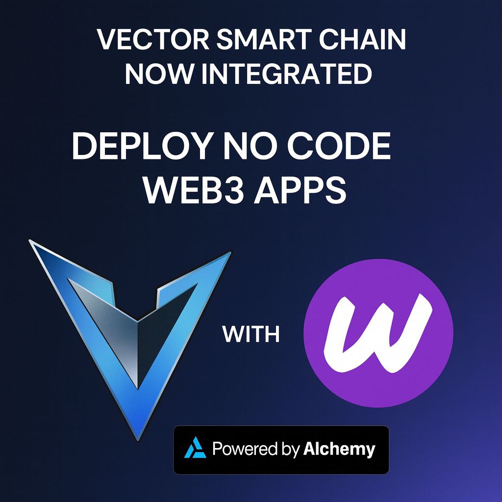 VECTOR SMART CHAIN tweet media
