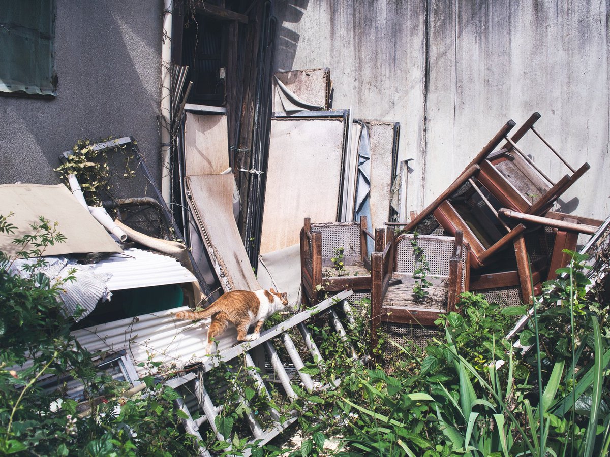 エン/はばねろ tweet media