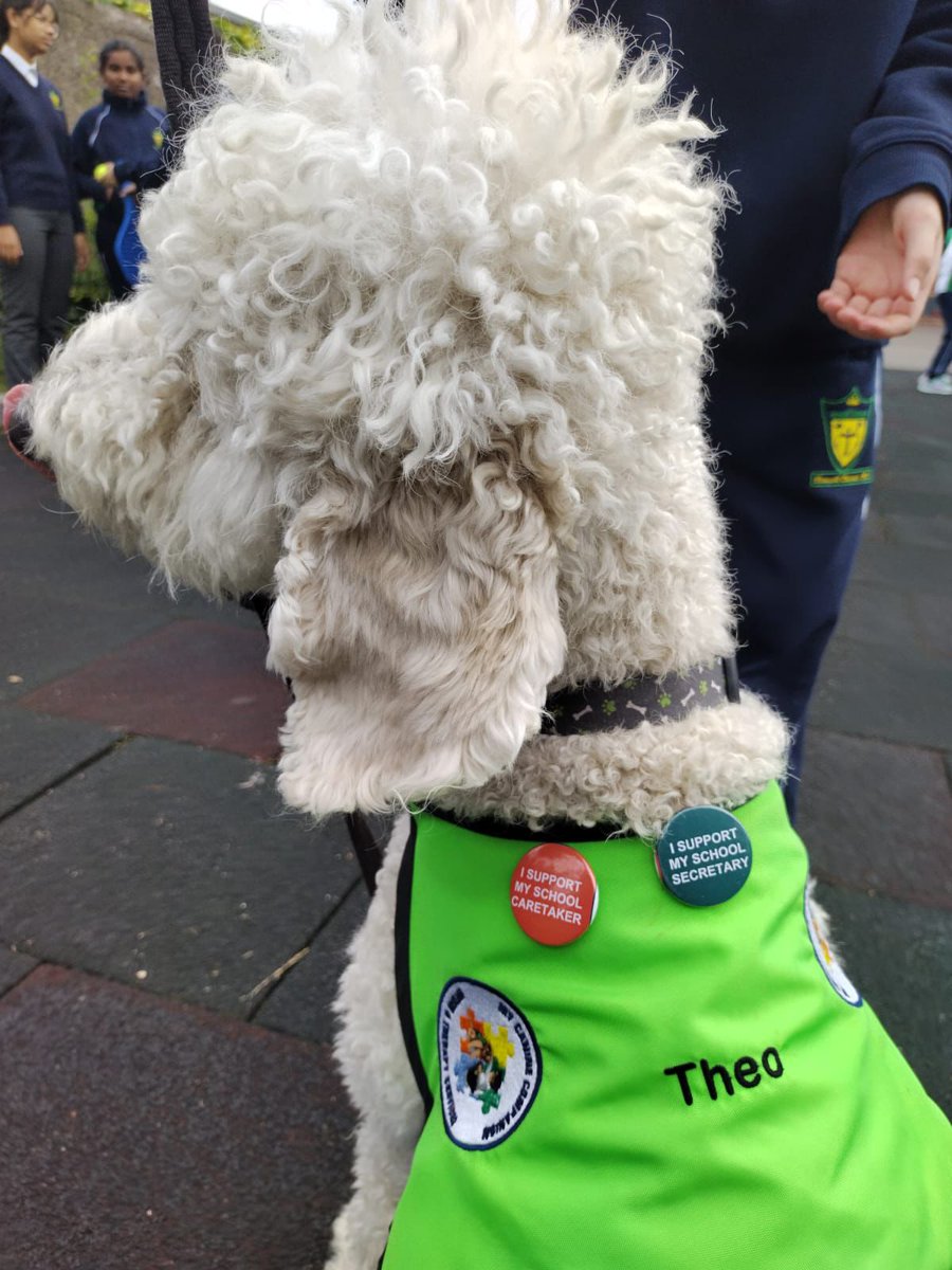 BunscoilC's tweet photo. Theo supports our school secretaries &amp; caretakers @Forsaschoolsecs @forsa_union_ie https://t.co/RnuoemIaEN